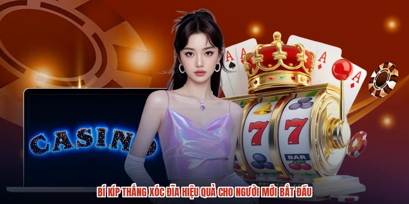Bí Kíp Thắng XÓC ĐĨA Hiệu Quả Cho Người Mới Bắt Đầu