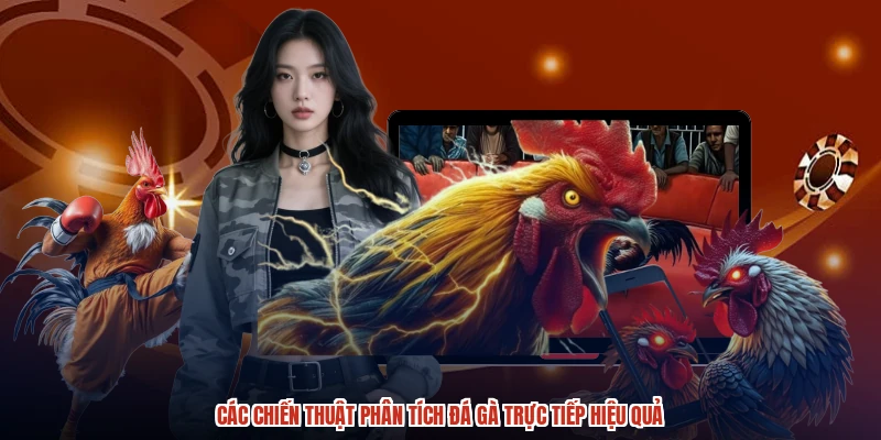 Các chiến thuật phân tích đá gà trực tiếp hiệu quả Các chiến thuật phân tích đá gà trực tiếp hiệu quả