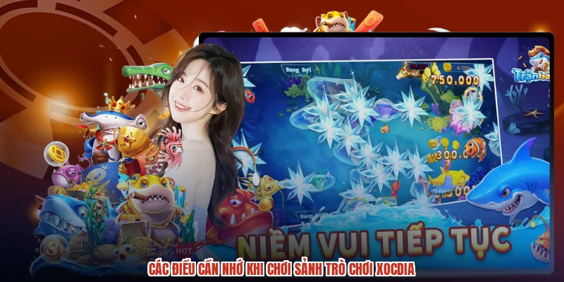 Các điều cần nhớ khi chơi sảnh trò chơi XÓC ĐĨA