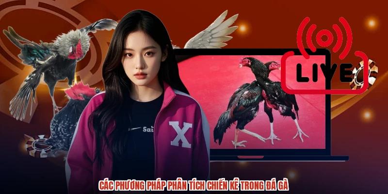 Các phương pháp phân tích chiến kê trong đá gà Các phương pháp phân tích chiến kê trong đá gà