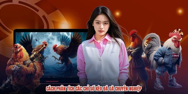 Cách phân tích các chỉ số kèo đá gà chuyên nghiệp Cách phân tích các chỉ số kèo đá gà chuyên nghiệp