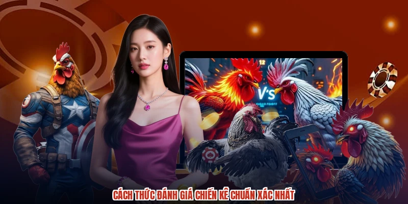Cách thức đánh giá chiến kê chuẩn xác nhất Cách thức đánh giá chiến kê chuẩn xác nhất