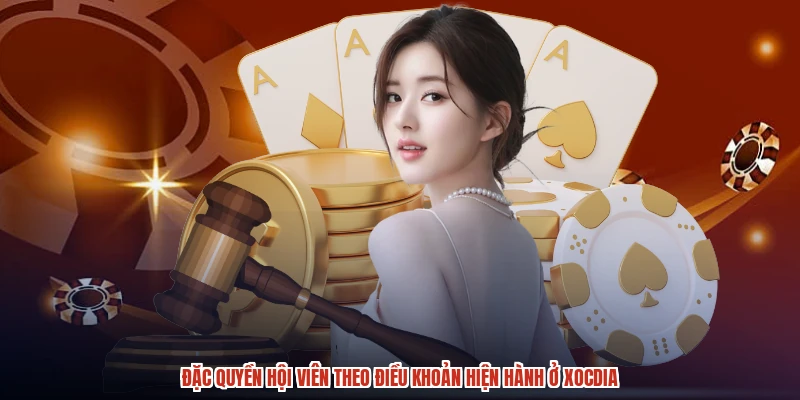 Đặc quyền hội viên theo điều khoản hiện hành ở XÓC ĐĨA