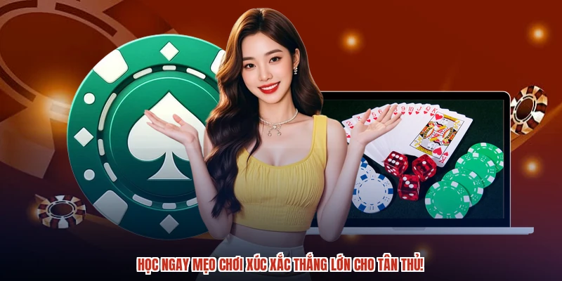 Học ngay mẹo chơi xúc xắc thắng lớn cho tân thủ Học ngay mẹo chơi xúc xắc thắng lớn cho tân thủ