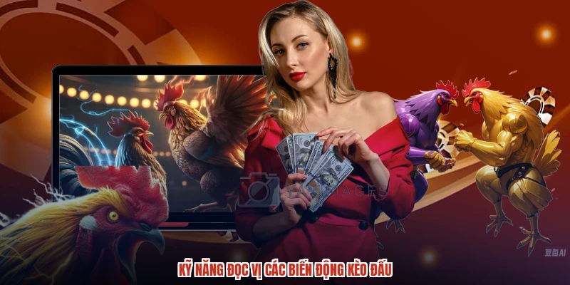 Kỹ năng đọc vị các biến động kèo đấu Kỹ năng đọc vị các biến động kèo đấu