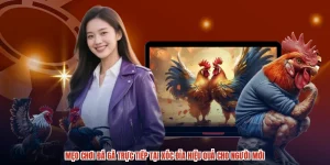 Mẹo Chơi Đá Gà Trực Tiếp Tại XÓC ĐĨA Hiệu Quả Cho Người Mới