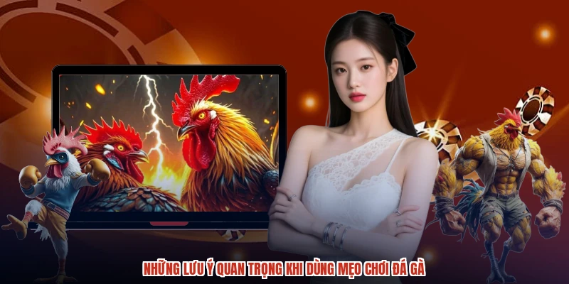 Những lưu ý quan trọng khi dùng mẹo chơi đá gà Những lưu ý quan trọng khi dùng mẹo chơi đá gà