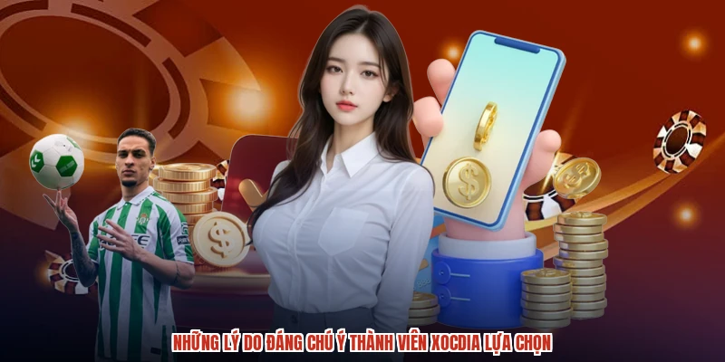 Những lý do đáng chú ý thành viên XÓC ĐĨA lựa chọn