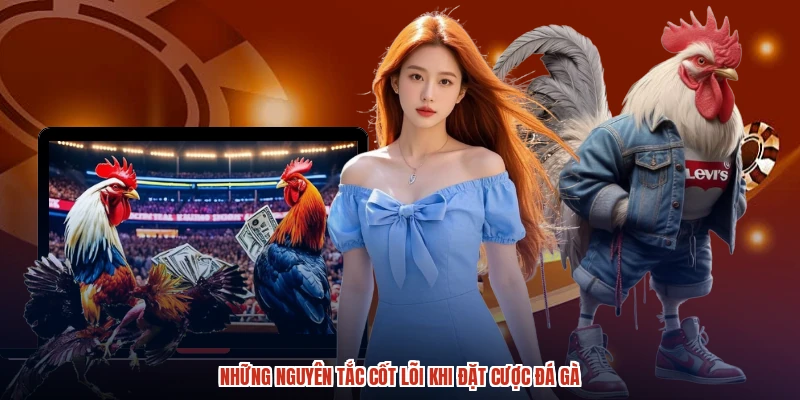Những nguyên tắc cốt lõi khi đặt cược đá gà Những nguyên tắc cốt lõi khi đặt cược đá gà