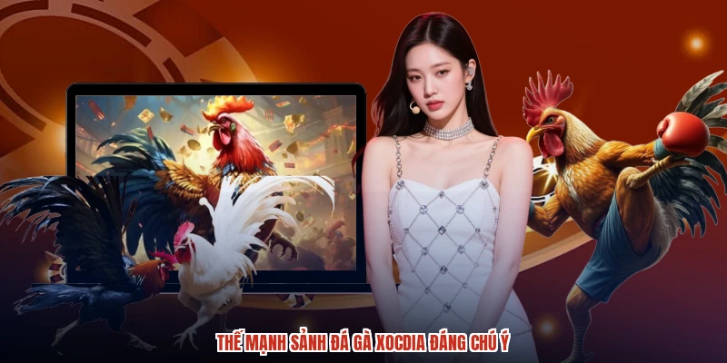 Thế mạnh sảnh đá gà XÓC ĐĨA đáng chú ý