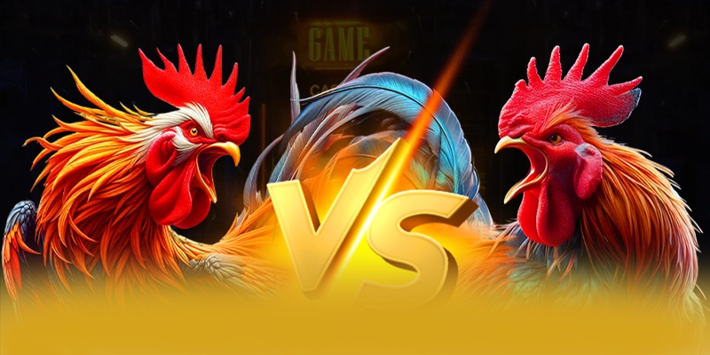 Điểm khác biệt của 8XBET trong cùng phân khúc Điểm khác biệt của 8XBET trong cùng phân khúc
