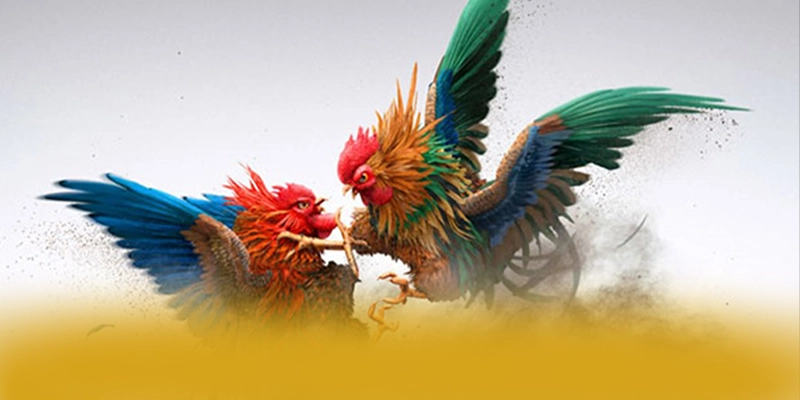 BET168 - Lời kết một cách tổng quan. BET168 - Lời kết một cách tổng quan.