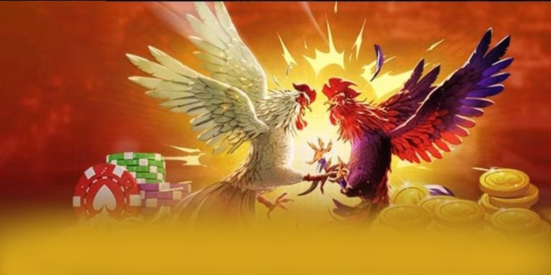 BET168 - Nhà cái quy tụ nhiều siêu phẩm hot tại Việt Nam BET168 - Nhà cái quy tụ nhiều siêu phẩm hot tại Việt Nam